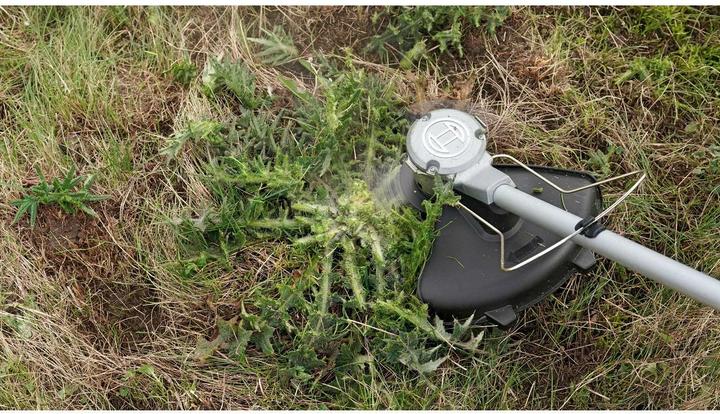 Produktbild Bosch Home & Garden AdvancedBrushCut 36V-23-750 (Trimmfaden, Kunststoffmesser)