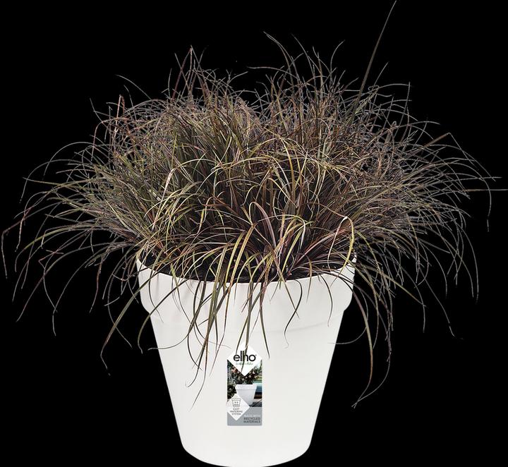 Actual product image Elho Loft Urban (58 cm)