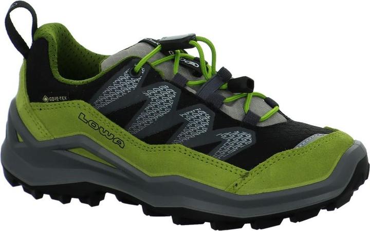Produktbild Lowa Maddox Pro GTX LO (27)