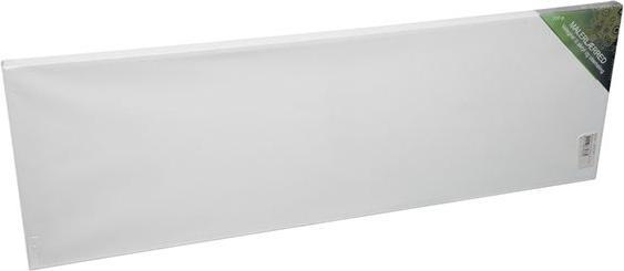 Image du produit Winsor & Newton Peinture sur toile (bs) 20x60cm 18mm