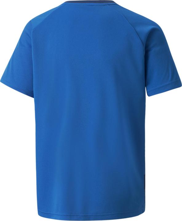 Actual product image Puma teamVISION Jersey Jr-704928 (164)
