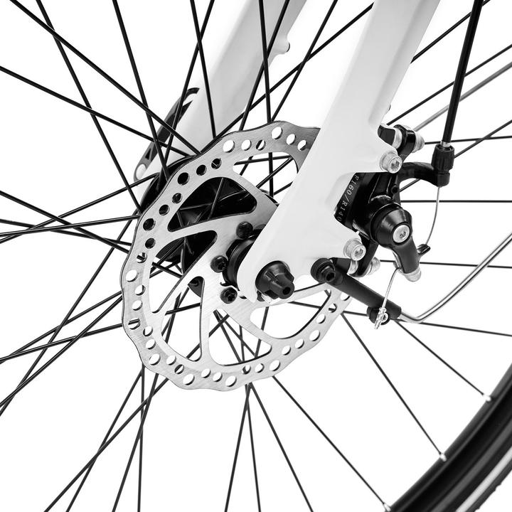 Actual product image Argento Omega White e-bike