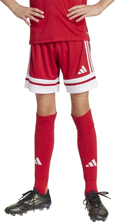 Actual product image adidas Squadra 25 Short Kids (128)