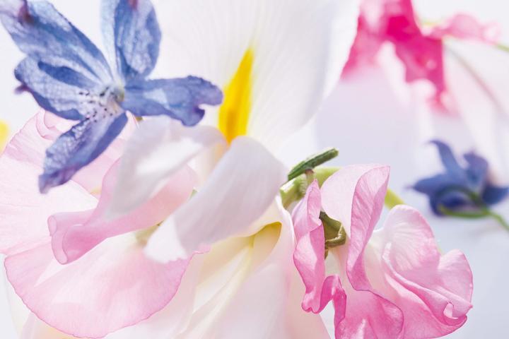 Actual product image Dior Miss (Eau de parfum, 50 ml)