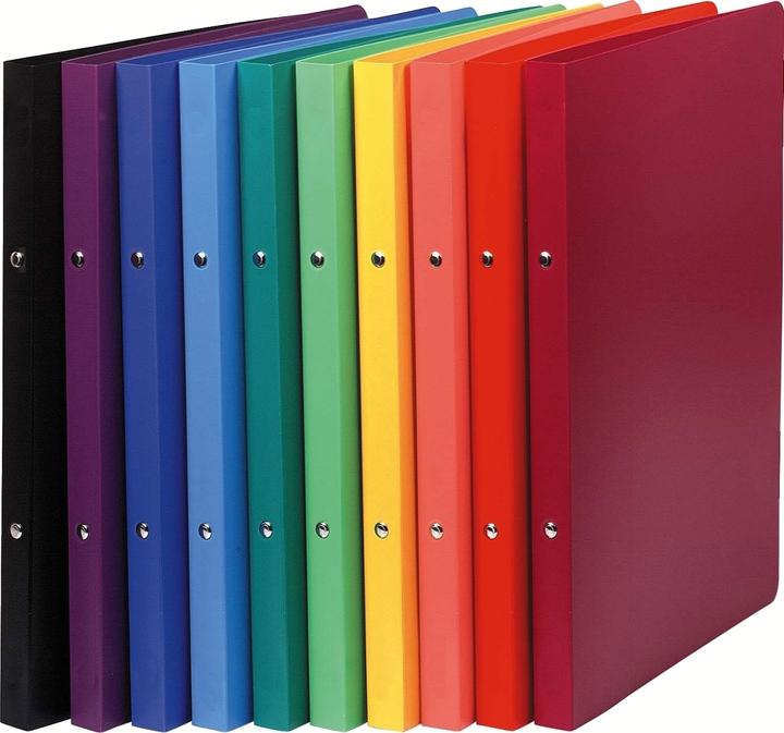 Actual product image Exacompta Ring binders (A4, 20 mm, 360 Piece)