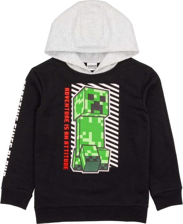 Image du produit Minecraft Sweat à capuche garçon (134)