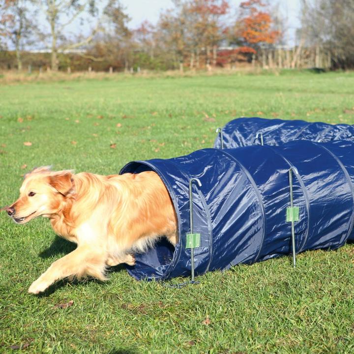Actual product image Trixie Tunnel (Agility)