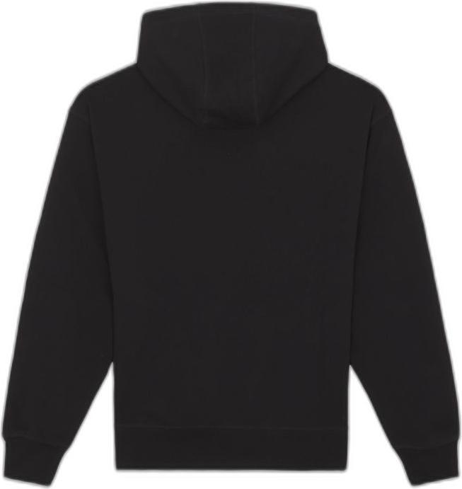 Actual product image Dickies Millersburg Hoodie - 89467 (L)