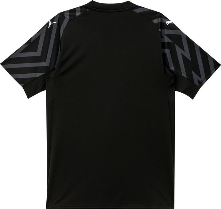 Image du produit Puma ASF GK Jersey SS Replica (M)