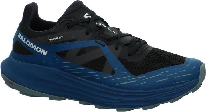 Image du produit Salomon Ultra Flow GTX (44 2/3)