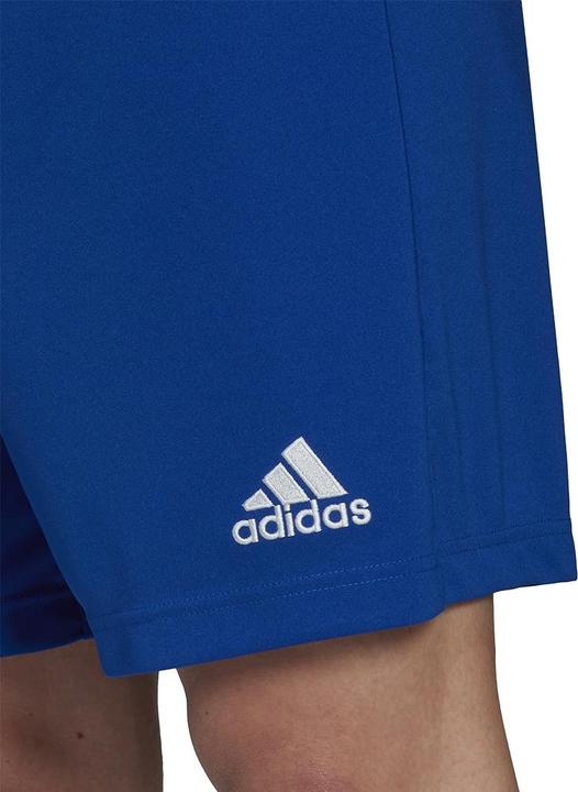 Actual product image adidas Entrada 22 Shorts Men (L)