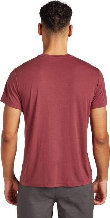 Produktbild Icebreaker Men Merino Blend Core SS Tee Tech Head (L)