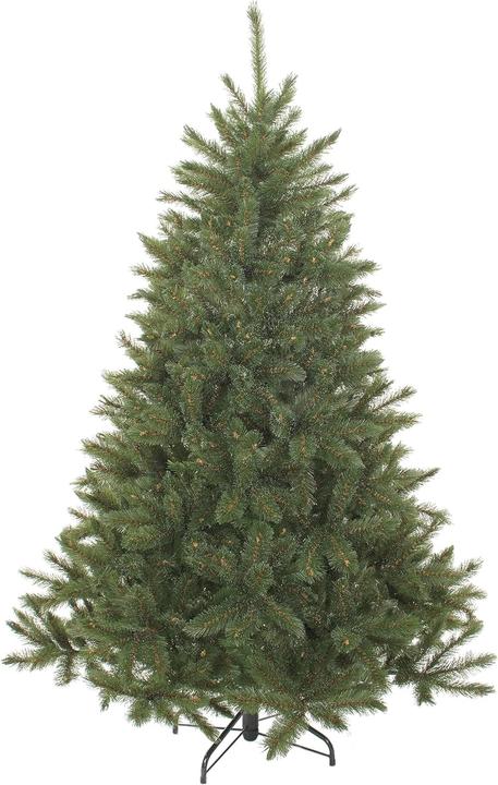Image du produit Triumph Bristlecone (215 cm)