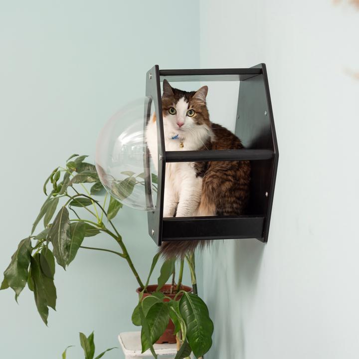 Produktbild Wowhelperco Sechseck mit Acrylfenster (Schwarz)