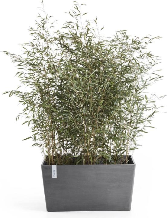 Produktbild Ecopots Paris (26 cm)