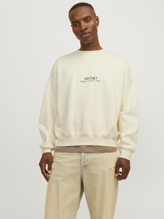 Actual product image Jack & Jones Jorbrooklyn Graphic Sweat Crew Neck Ln (XL)