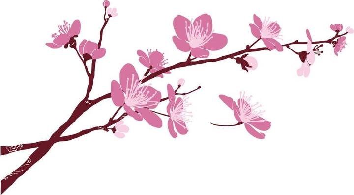 Image du produit Trenddeko Fleurs de cerisier 03 (140 x 77 cm)