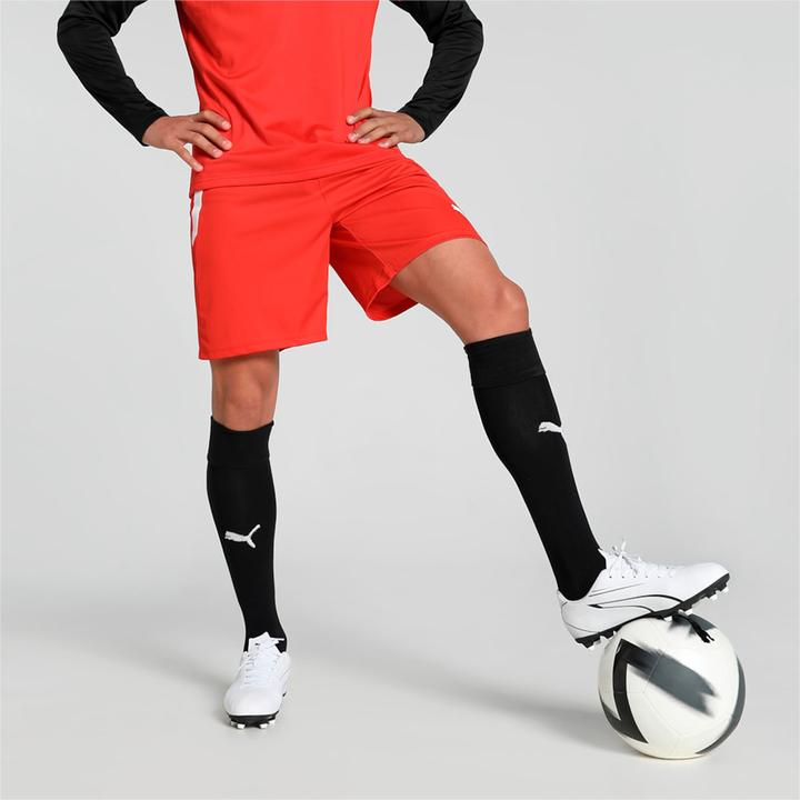 Actual product image Puma teamLIGA Shorts-704924 (L)