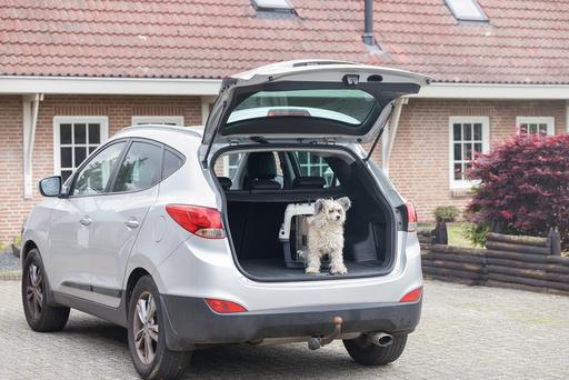 Actual product image Karlie Nomad (Dog, Cat, Lockable)