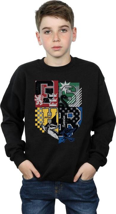 Image du produit Sweatshirt garçon (152, 158)