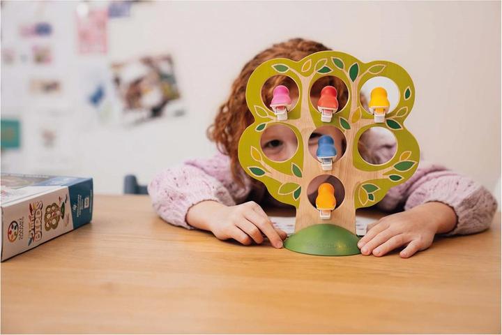 Actual product image Smart Games 5 Little Birds (mult) (German, French, Italian)
