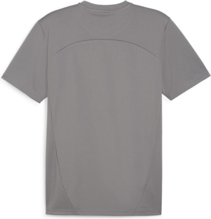 Actual product image Puma teamFINAL Training Jersey (3XL)