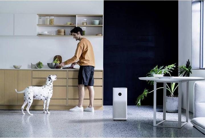 Immagine prodotto Xiaomi Smart Air Purifier 4 (48 m²)