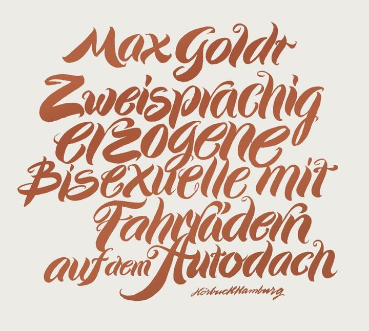 Image du produit Des bisexuels bilingues avec des vélos sur le toit de leur voiture (Max Goldt, Allemand)