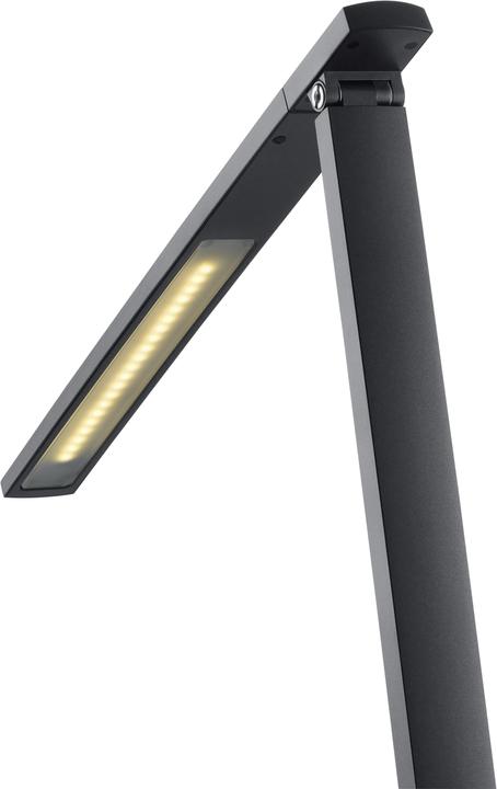 Immagine prodotto Hansa Vario Plus (741 lm)