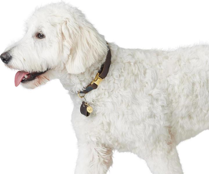 Produktbild Hunter Hundehalsband Sansibar (40, 41, 42, 43, 44, 45, 46, 47, 48, 49, 50, 52, 54, Hund, Allgemein)