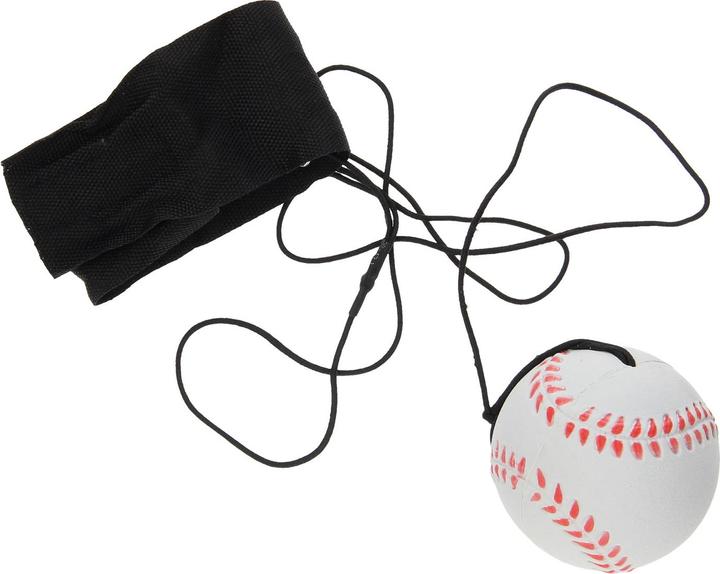 Produktbild Roost Returnball