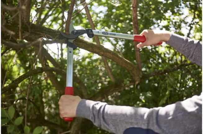 Image du produit Felco 211-60