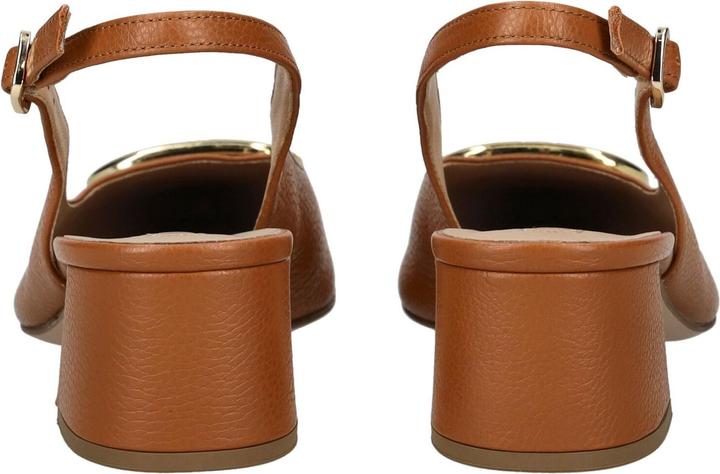 Image du produit Högl Pumps (39)