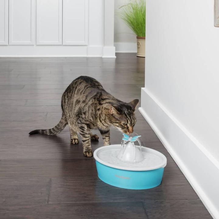 Image du produit PetSafe Fontaine pour animaux de compagnie Drinkwell® Butterfly (1.50 l)
