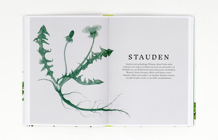 Actual product image Essbare Wildpflanzen (German, Liz Knight, Wiebke crab, Rachel Pedder-Smith, 2021)