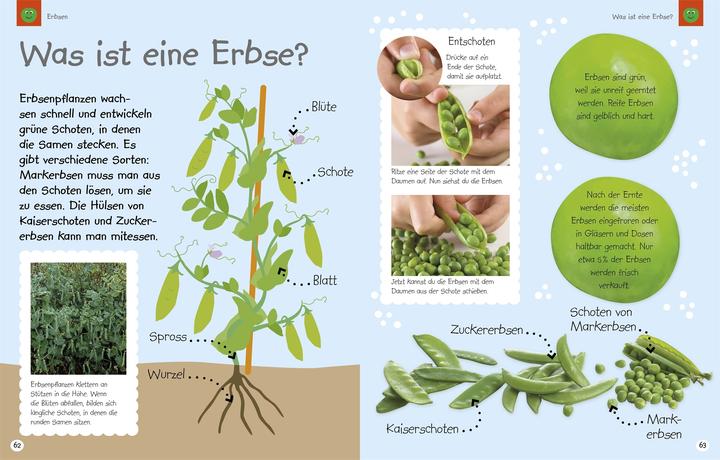 Produktbild Leckerschmecker Kochentdecker (Deutsch, 2016)