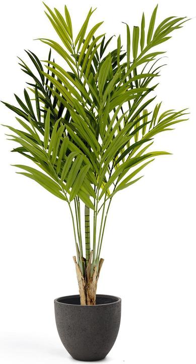 Image du produit Kave Home Palmera (180 cm)