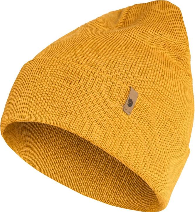 Acorn