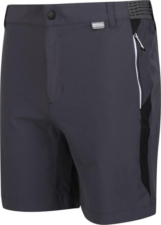 Actual product image Regatta Mens Mountain II Shorts (54 D)