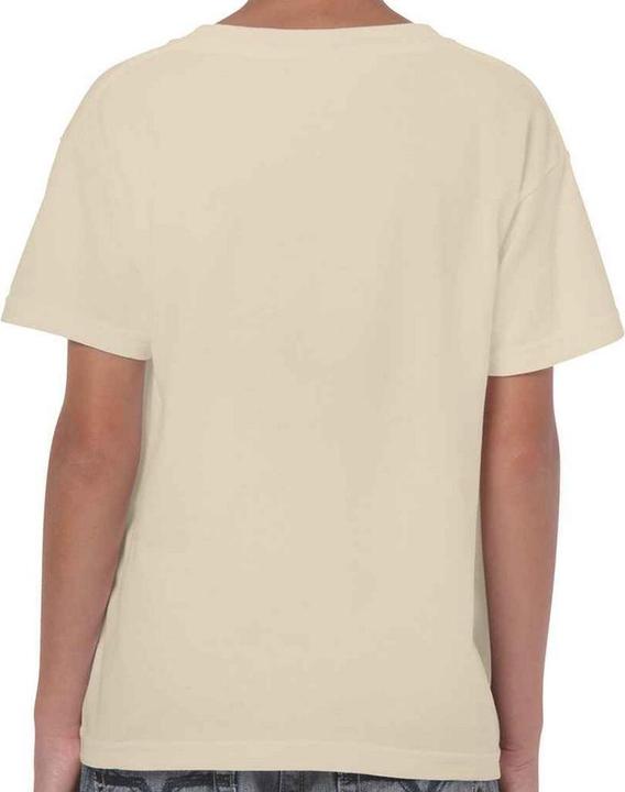 Actual product image Gildan Childrens/Kids Plain Cotton Heavy T-Shirt (116)