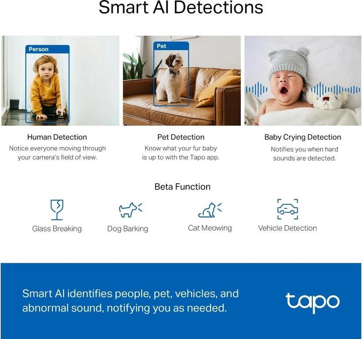 Actual product image TP-Link Tapo C220 4MP 360° WLAN camera MicroSD (2560 x 1440 Pixels)