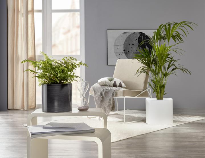 Immagine prodotto Scheurich Vaso da fiori (33 cm)