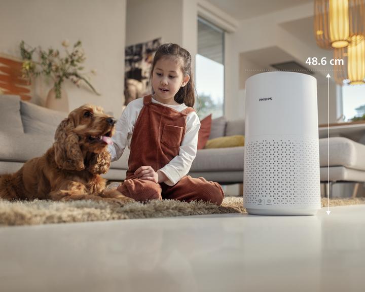 Produktbild Philips AC1711/10 (78 m²)