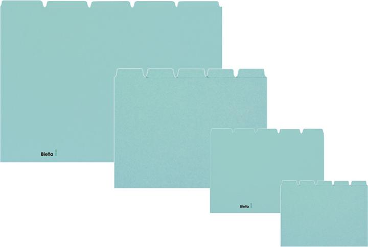 Immagine prodotto Biella Schede guida in bianco (A4, 450 g/m², 25 x)
