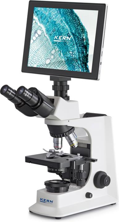 Productafbeelding Kern OBL 137T241 Zendlichtmicroscoop Trinoculair 1000 x doorvallend licht