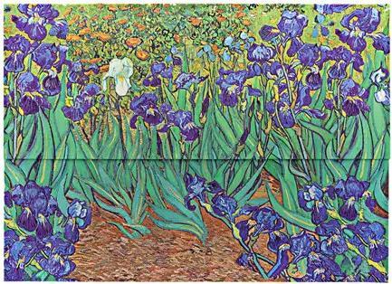 Immagine prodotto Paperblanks Cartelline per Documenti Iris di Van Gogh