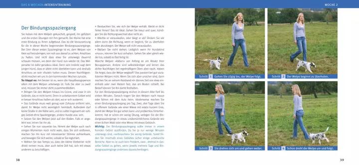 Immagine prodotto Welpen-Erziehung (Tedesco, Katharina Schlegl-Kofler, 2010)