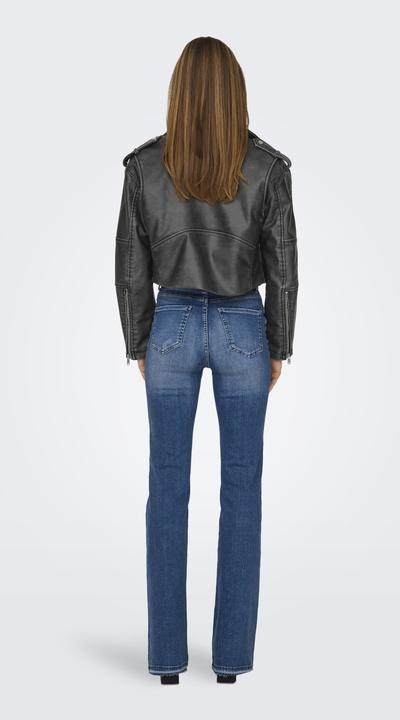 Actual product image Only Band collar Cuffs with zip Biker jacket Biker jacket (XL)