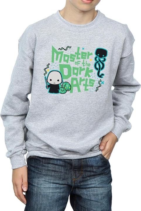 Image du produit - Sweat VOLDEMORT DARK ARTS JUNIOR - Garçon (140, 146)