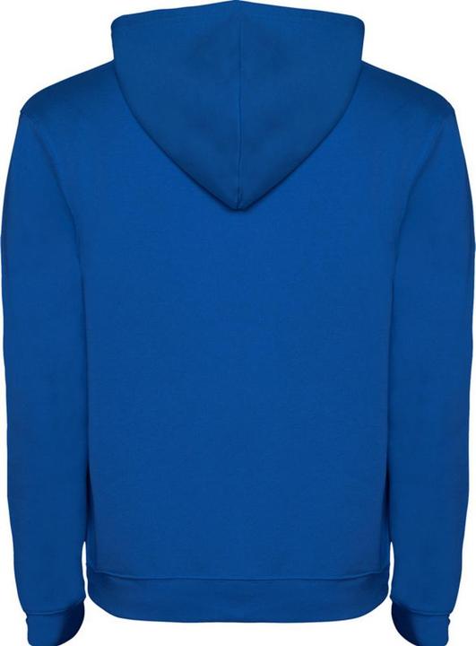 Actual product image Alpinia Childrens/Kids Urban Drawstring Hoodie (140)